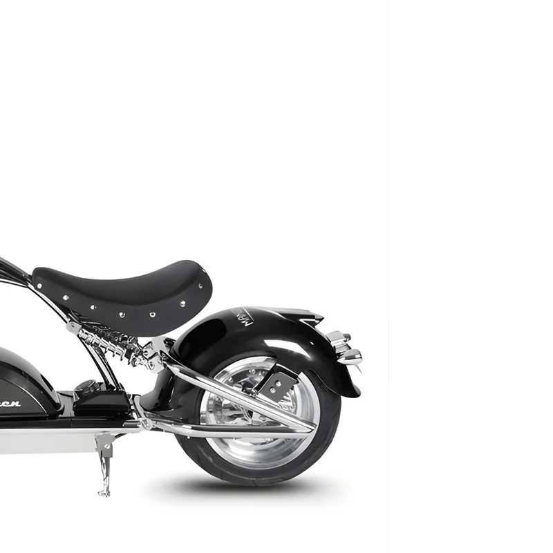Trottinette Mangosteen électrique assise City Coco M1PS – cadre chromé & double motorisation