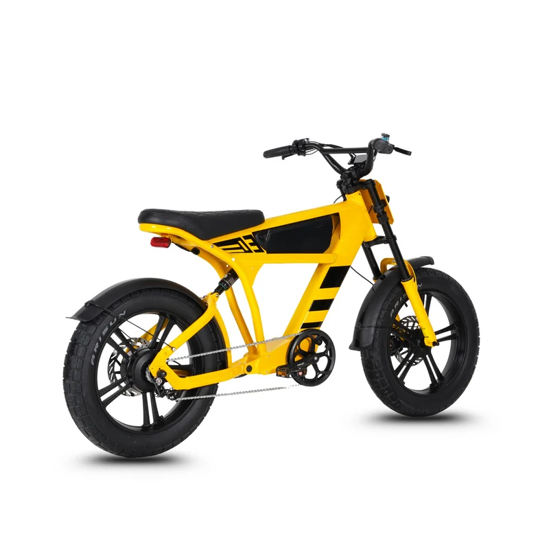 Vélo électrique FatBike Mangosteen FT-03
