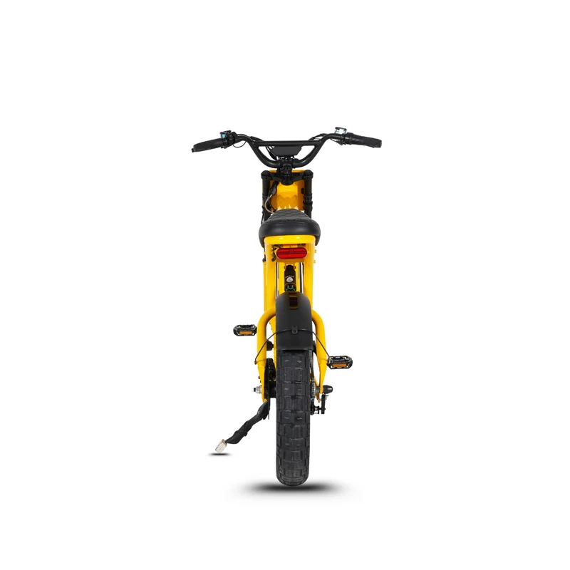 Vélo électrique FatBike Mangosteen FT-03