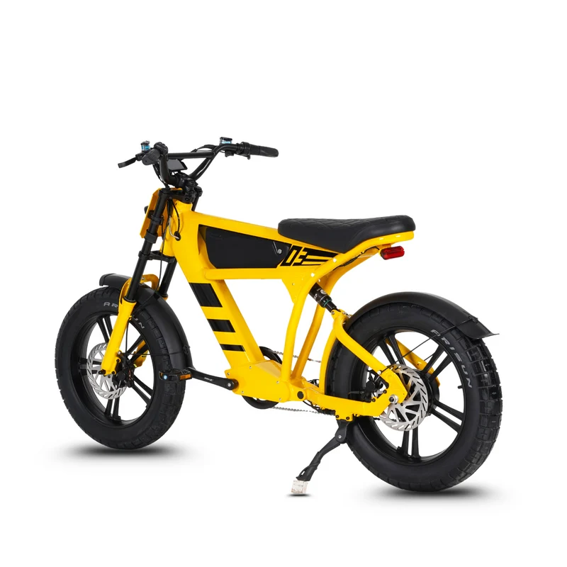 Vélo électrique FatBike Mangosteen FT-03