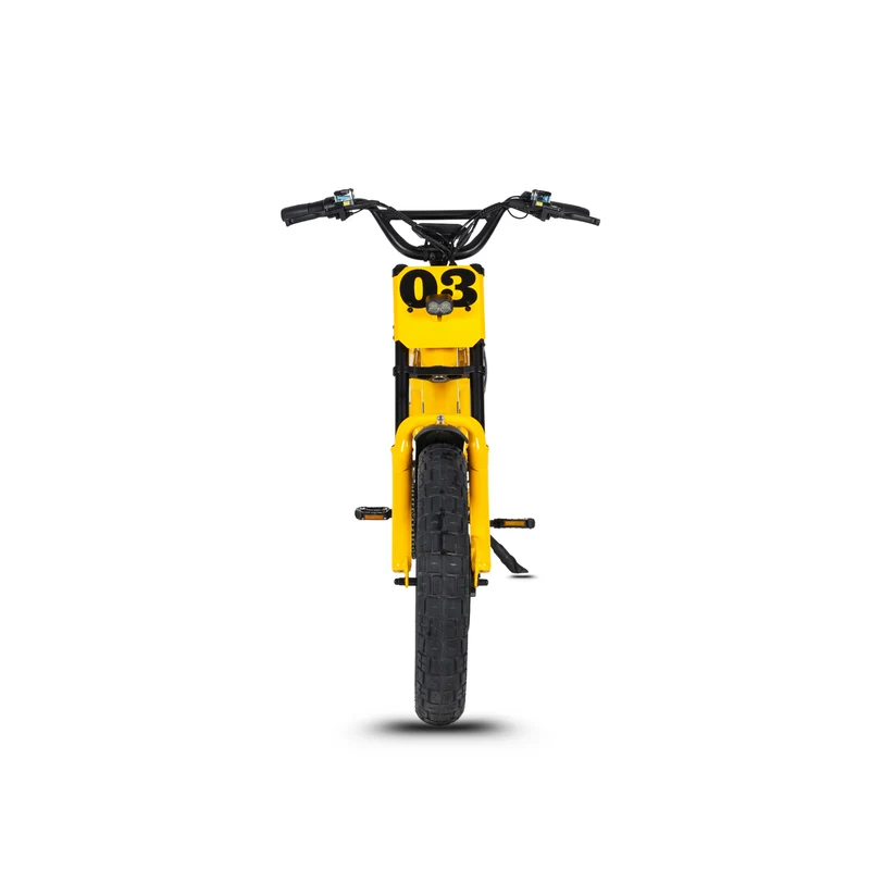 Vélo électrique FatBike Mangosteen FT-03