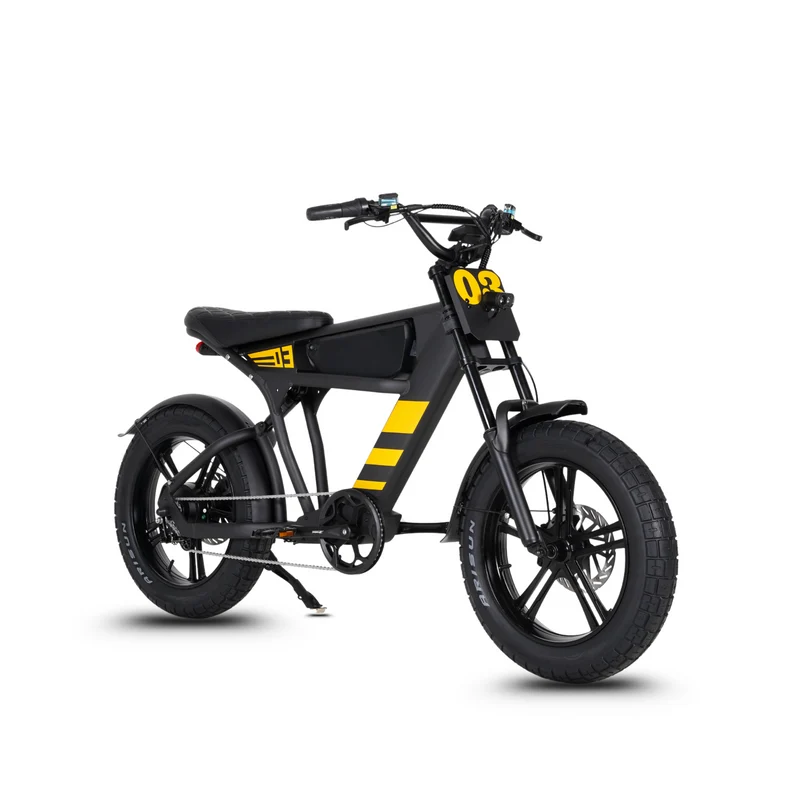 Vélo électrique FatBike Mangosteen FT-03