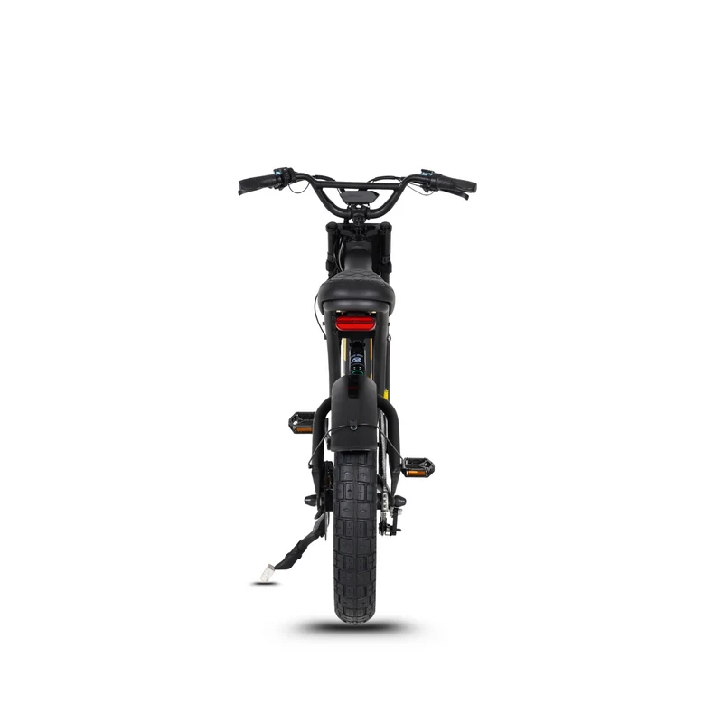 Vélo électrique FatBike Mangosteen FT-03