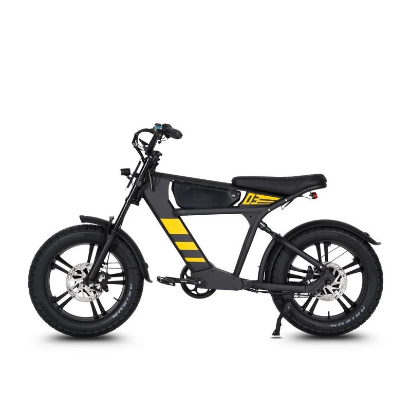 Vélo électrique FatBike Mangosteen FT-03