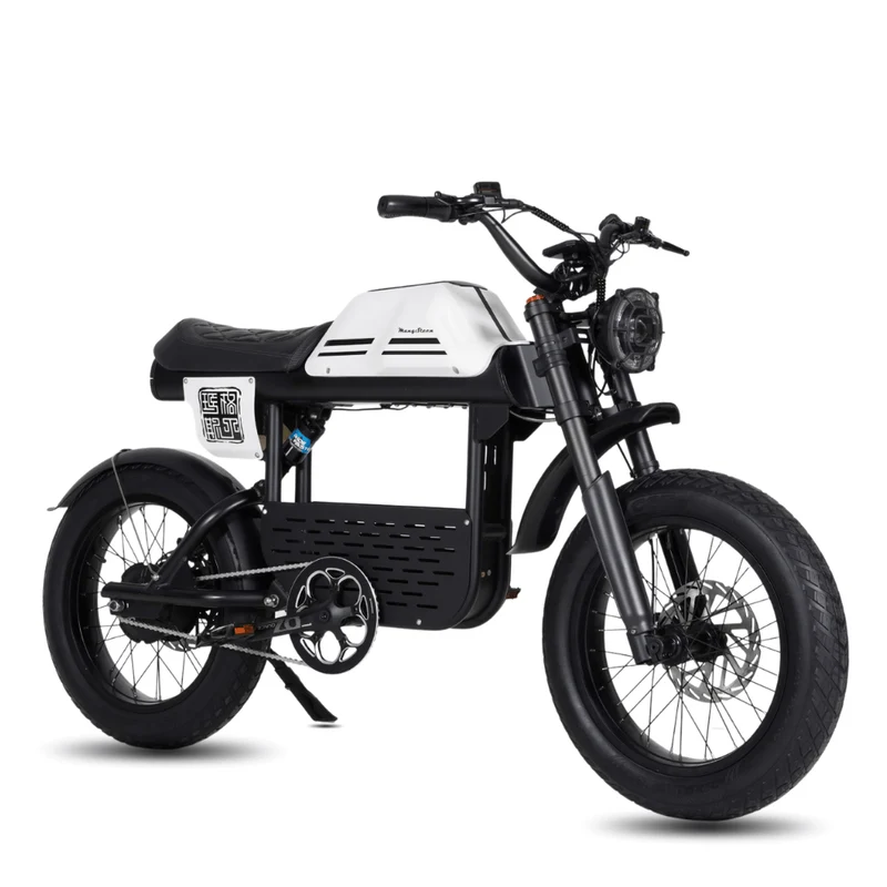 Vélo électrique FatBike Mangosteen FT-01