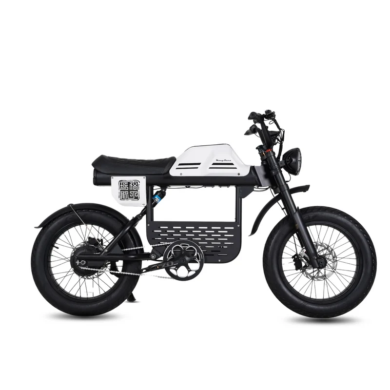 Vélo électrique FatBike Mangosteen FT-01