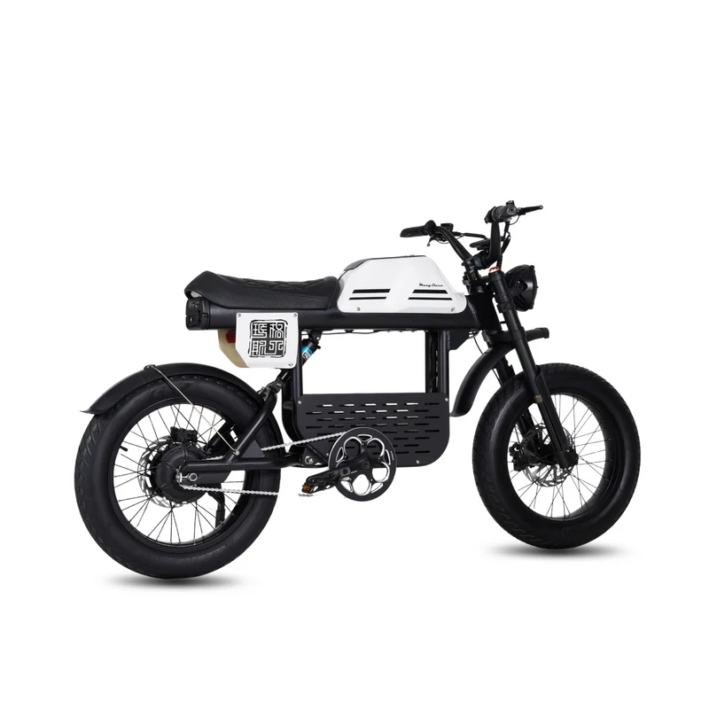 Vélo électrique FatBike Mangosteen FT-01