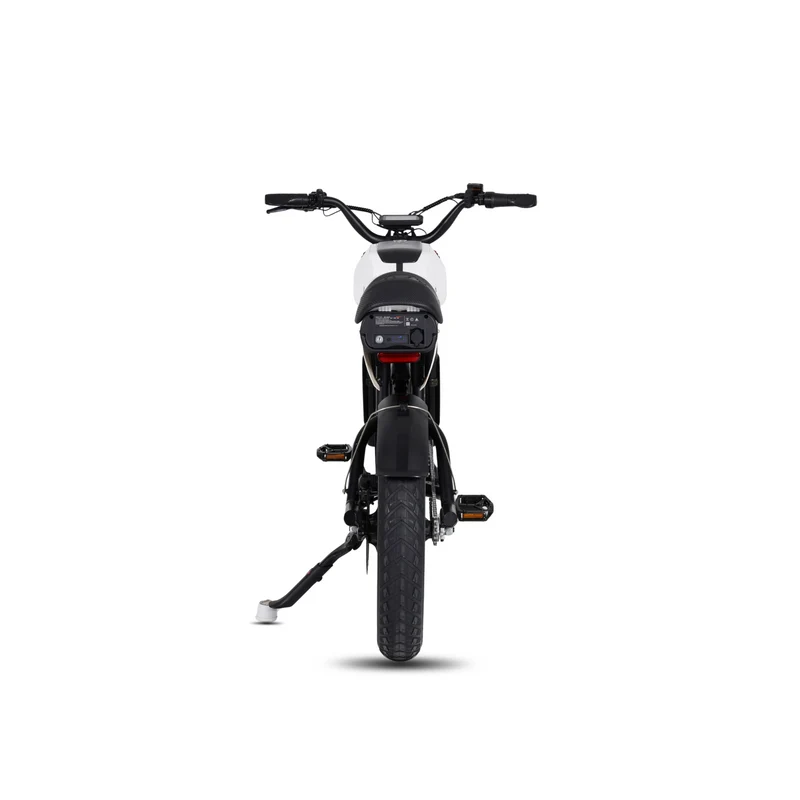 Vélo électrique FatBike Mangosteen FT-01