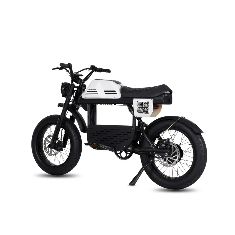 Vélo électrique FatBike Mangosteen FT-01