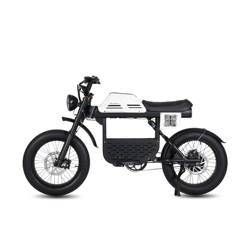 Vélo électrique FatBike Mangosteen FT-01