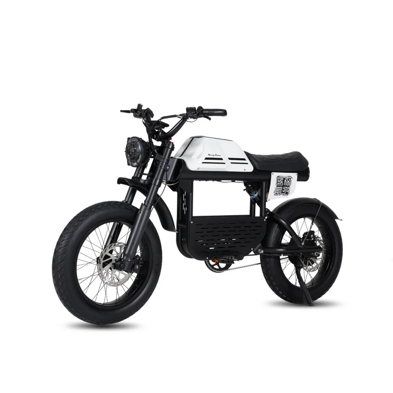 Vélo électrique FatBike Mangosteen FT-01
