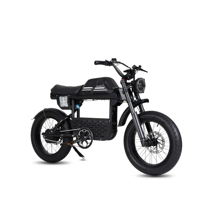 Vélo électrique FatBike Mangosteen FT-01