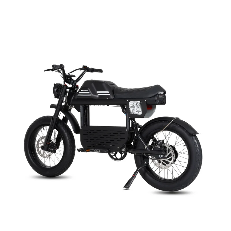 Vélo électrique FatBike Mangosteen FT-01