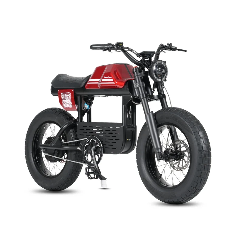 Vélo électrique FatBike Mangosteen FT-01