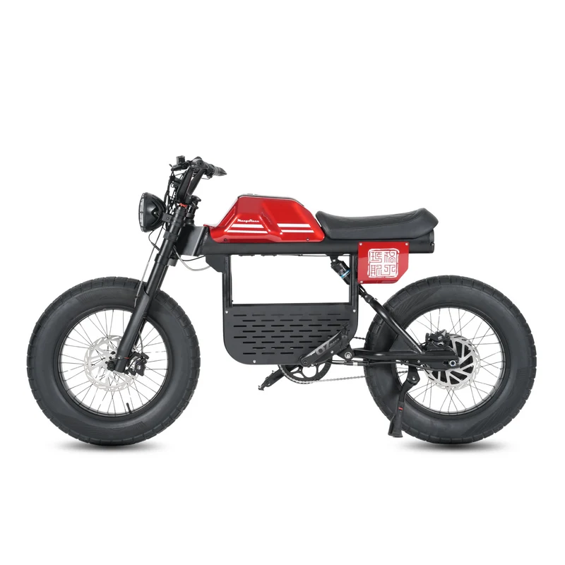 Vélo électrique FatBike Mangosteen FT-01