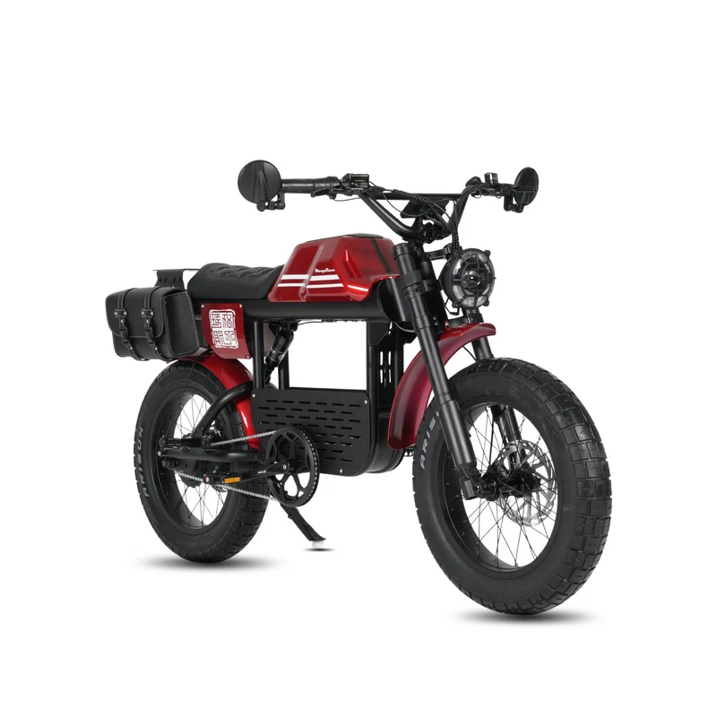 Vélo électrique FatBike Mangosteen FT-01