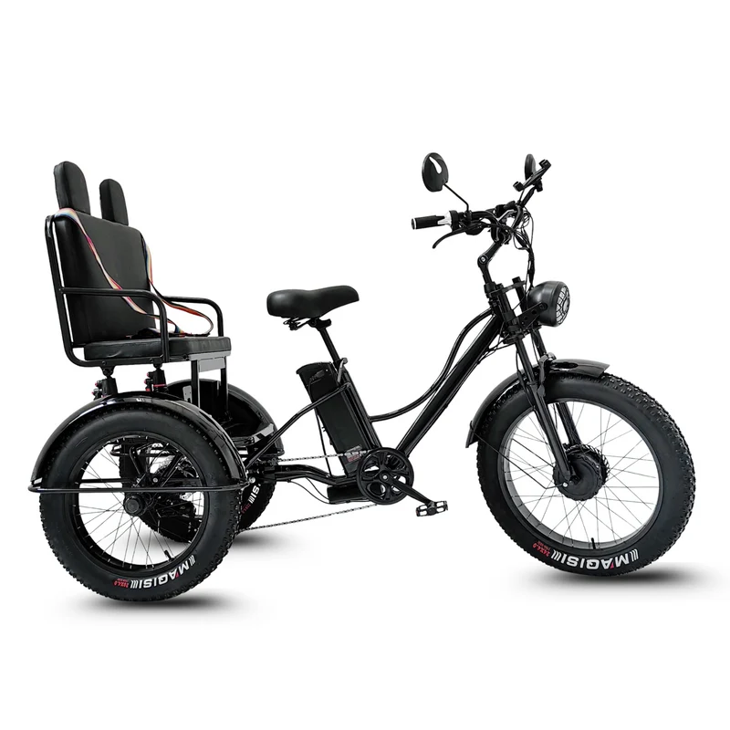 Vélo Électrique 3 Roues Fat Bike – Treefat 2