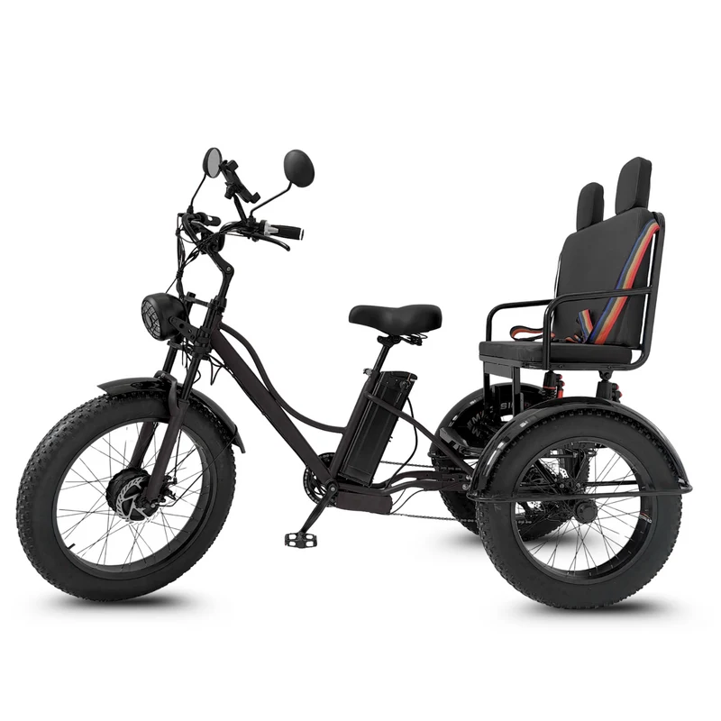 Vélo Électrique 3 Roues Fat Bike – Treefat 2
