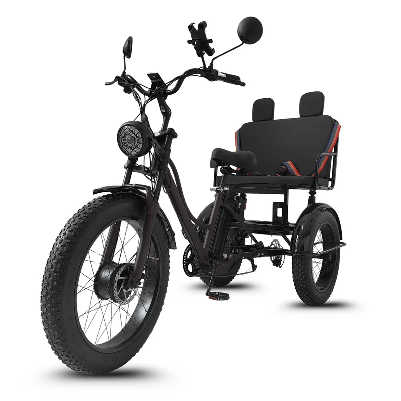 Vélo Électrique 3 Roues Fat Bike – Treefat 2