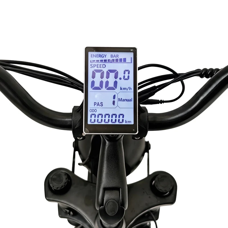 Vélo Électrique 3 Roues Fat Bike – Treefat 2