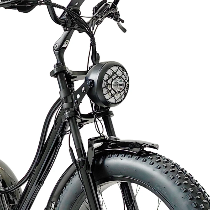 Vélo Électrique 3 Roues Fat Bike – Treefat 2