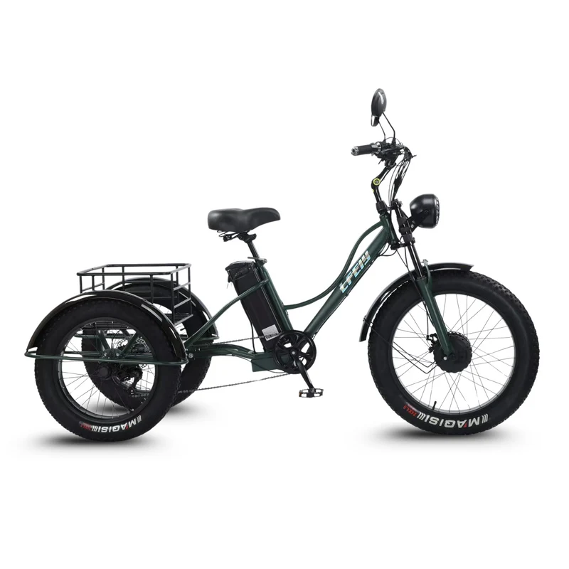 Vélo Électrique 3 Roues Fat Bike – Treefat 2