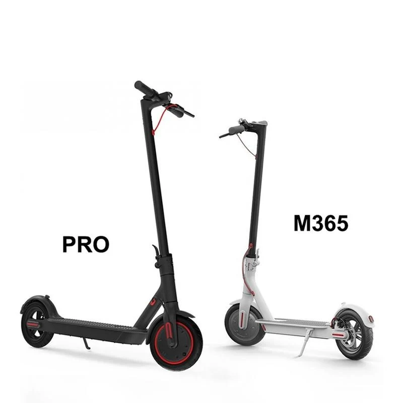 Chargeur Trottinette Électrique SEGWAY Original 42V