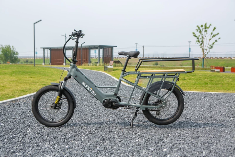 EUNORAU G40-CARGO 1.0 Electric Cargo Bike - Canada