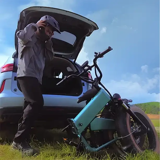 Bluerev Dolphin Folding Fat-Tire Electric Bike - Canada