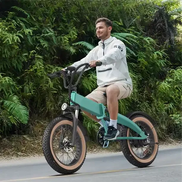 Bluerev Dolphin Folding Fat-Tire Electric Bike - Canada