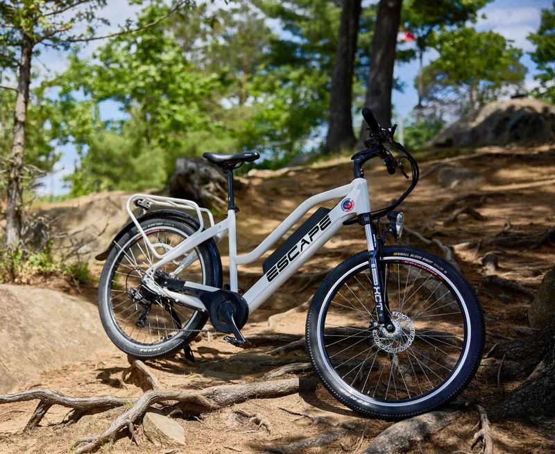 Demon Electric Escape Commuter eBike Canada
