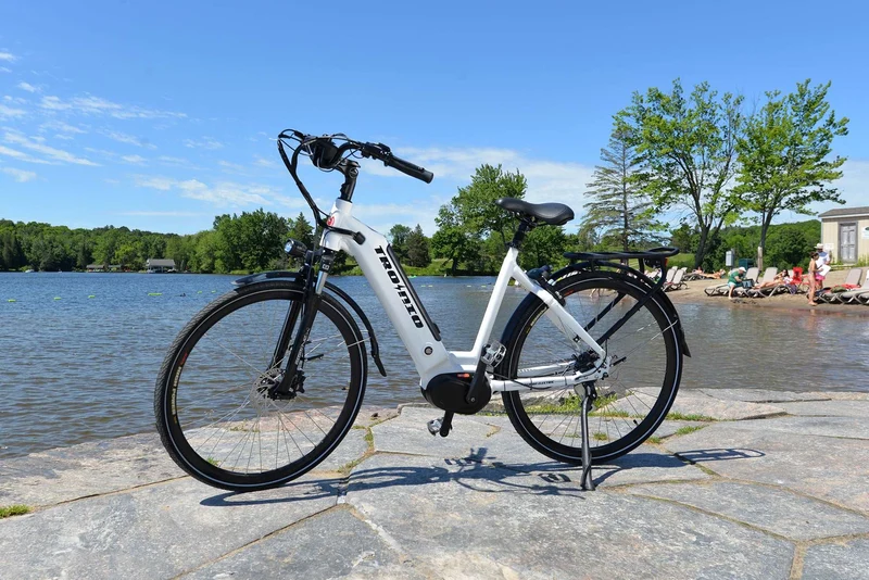Demon Electric Tronio Commuter eBike Canada