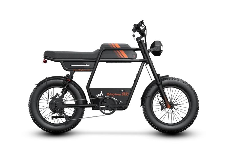 Riding Times GT33 Cargo Electric Bike Canada