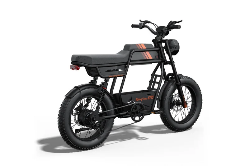 Riding Times GT33 Cargo Electric Bike Canada