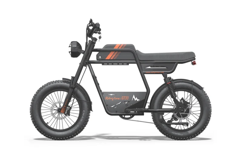 Riding Times GT33 Cargo Electric Bike Canada