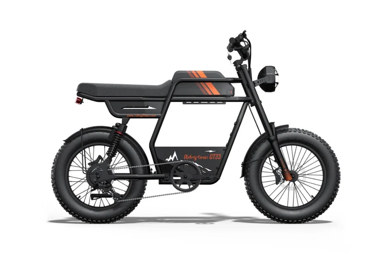 Riding Times GT33 Cargo Electric Bike Canada