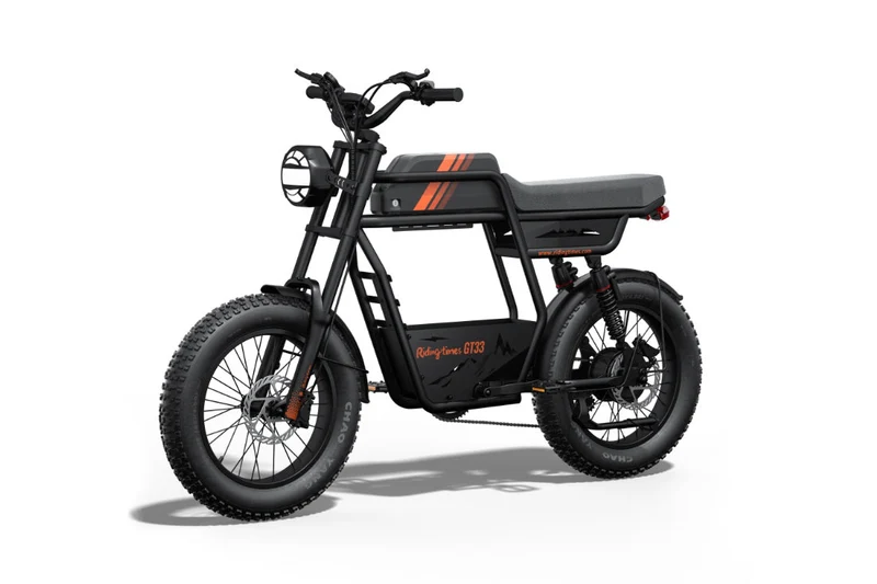 Riding Times GT33 Cargo Electric Bike Canada