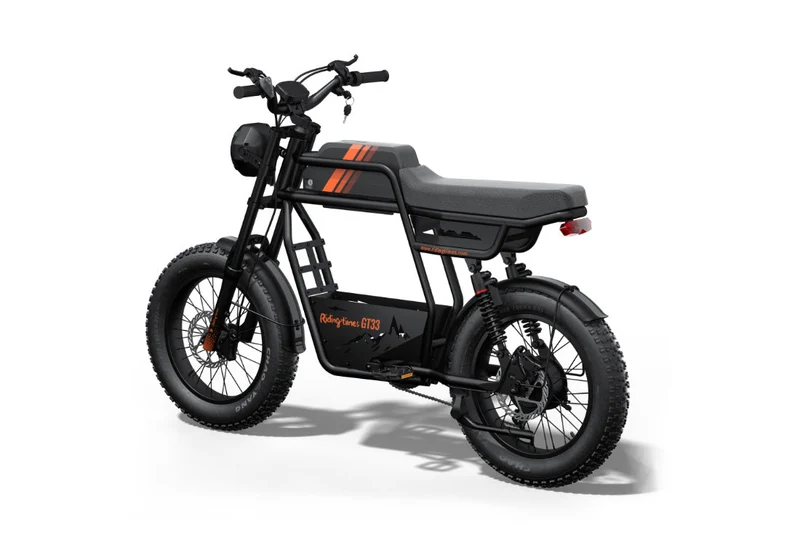 Riding Times GT33 Cargo Electric Bike Canada
