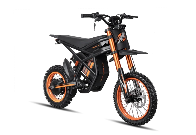Riding Times GT54 Electric Mini Motorbike Canada