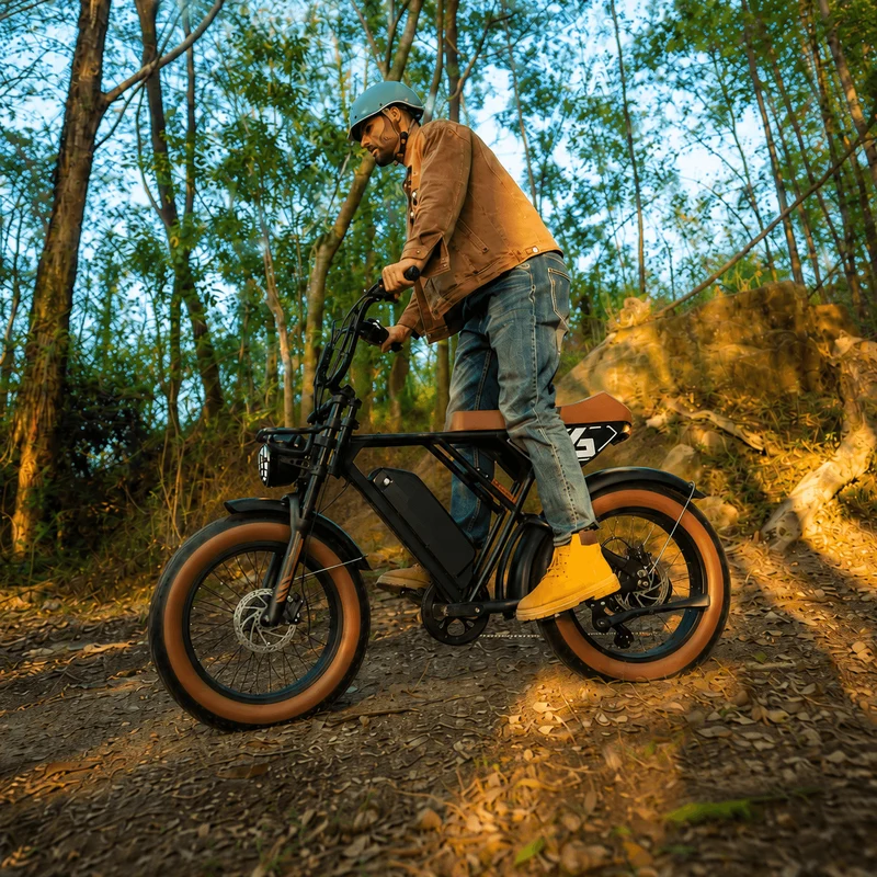 INVANTI EB16 Retro Electric Bike – Canada (formerly 5TH WHEEL Knight EB16)
