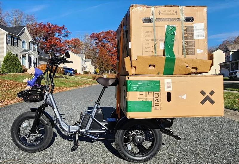 Tiniover Creek Pro Electric Passenger Trike | 48V 20Ah
