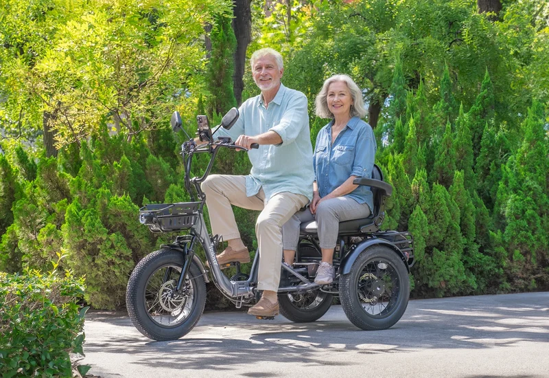 Tiniover Creek Electric Trike with Basket, Rear Seat, or Cargo Rack