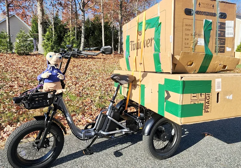 Tiniover Creek Electric Trike with Basket, Rear Seat, or Cargo Rack