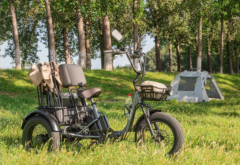 Tiniover Creek Electric Trike with Basket, Rear Seat, or Cargo Rack