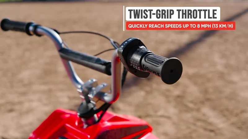 Razor Dirt Quad 24V Electric 4-Wheeler Canada