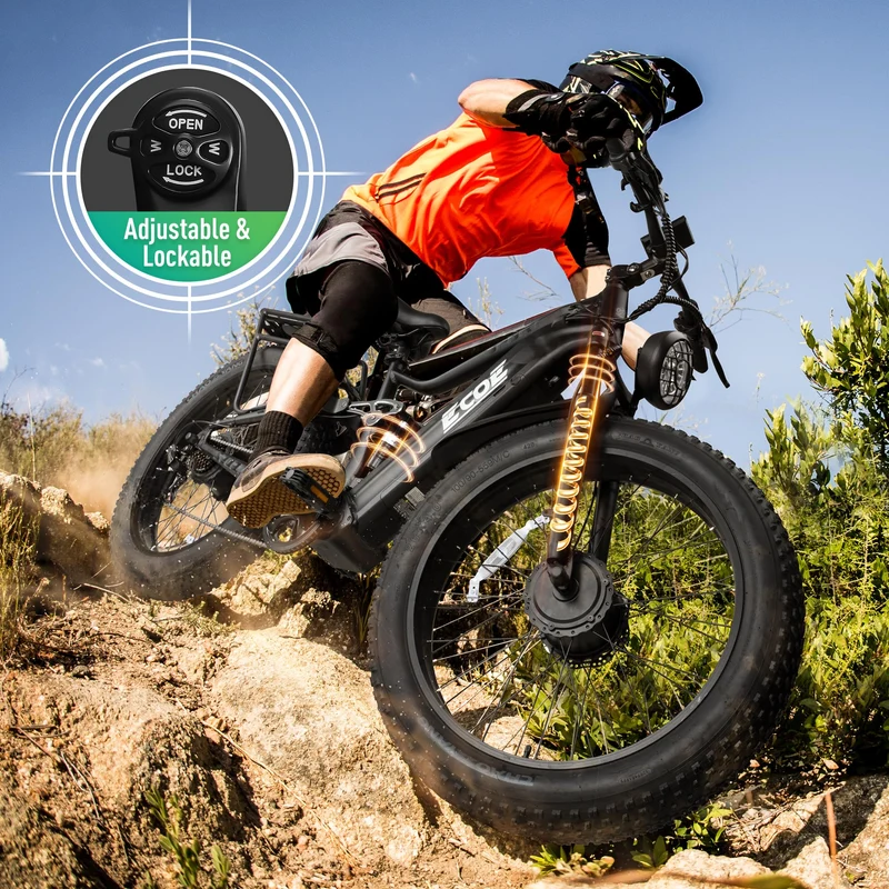 EcoE EC-6650 Electric Bike Canada