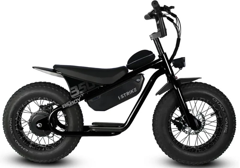 Throne Big Boy Electric Bike Canada