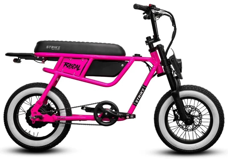 Throne Rascal Electric Bike Canada