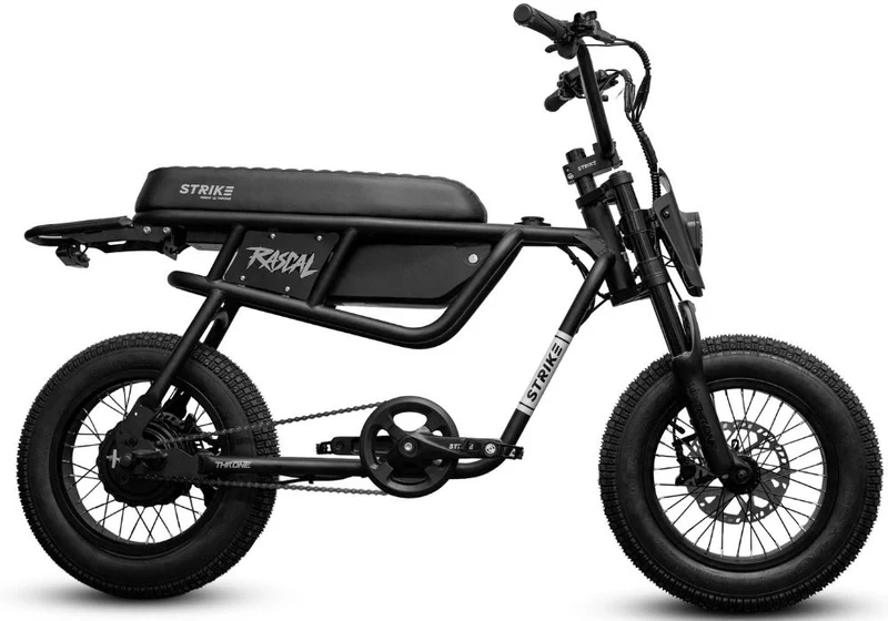Throne Rascal Electric Bike Canada