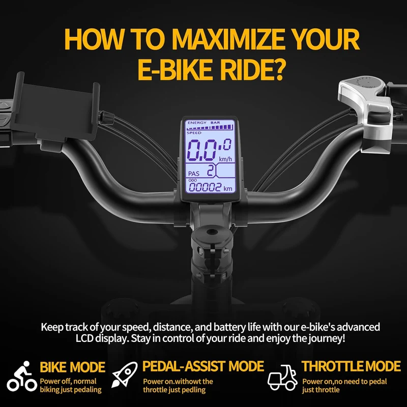 Ridstar Q20Luxe Electric Bike Canada